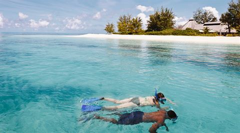 The Seychelles are renowned for diving