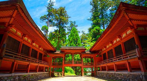 Kyoto and Shiga: Temple trails
