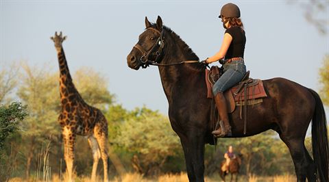 Horseback safari in Africa